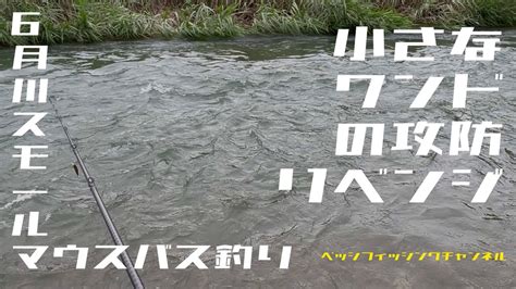 【バス釣り】6月川スモールマウスバス釣り『小さなワンドの攻防リベンジ』【スモールマウスバス】 Youtube