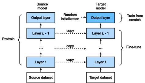 fine tuning dive  deep learning  beta documentation