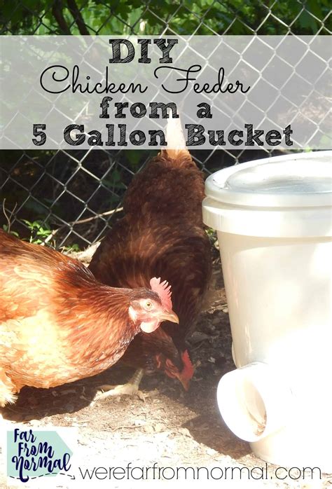 Diy Bucket Chicken Feeder From A 5 Gallon Bucket Far From Normal