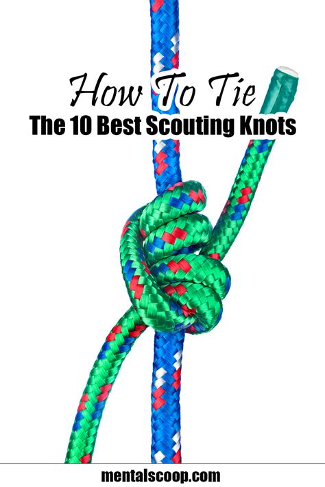 The 10 Best Scouting Knots - Home Garden DIY