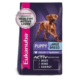 Eukanuba Large Breed Puppy Food - 15kg | Petbarn