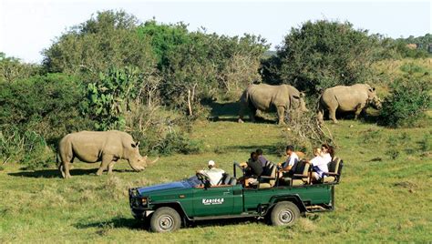 Idyllic Space - Kariega Game Reserve - Activities