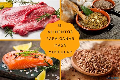 15 alimentos para ganar masa muscular Descubre cuáles son los más