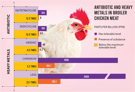 Heavy Metals In Broiler Chicken Far Below Tolerable Limit BARC The