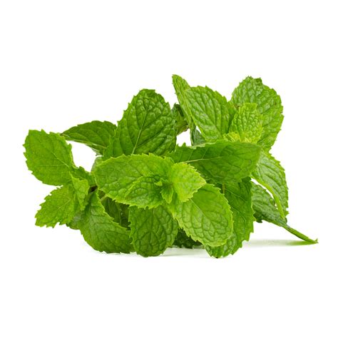 Mint Leaves Flavor Enhancer Natural Remedy Culinary Spice Fresh