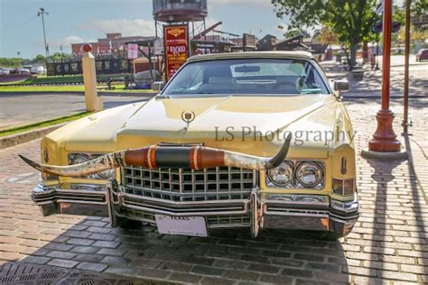 Caddy With Longhorns Longhorns Cadillac Texas Icon Etsy