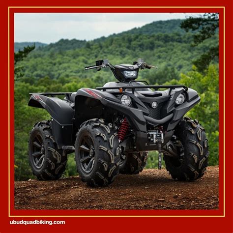 Tips on Choose Best Quad Bike for Your Next Adventure - Ubud Quad Biking