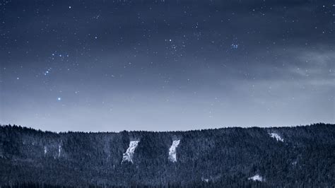 Wallpaper Hutan Malam Langit Salju Musim Dingin Bintang Sinar