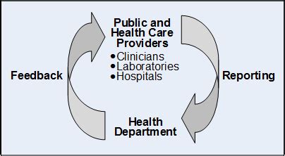 Public Health Surveillance In Epidemiology Vital Insights