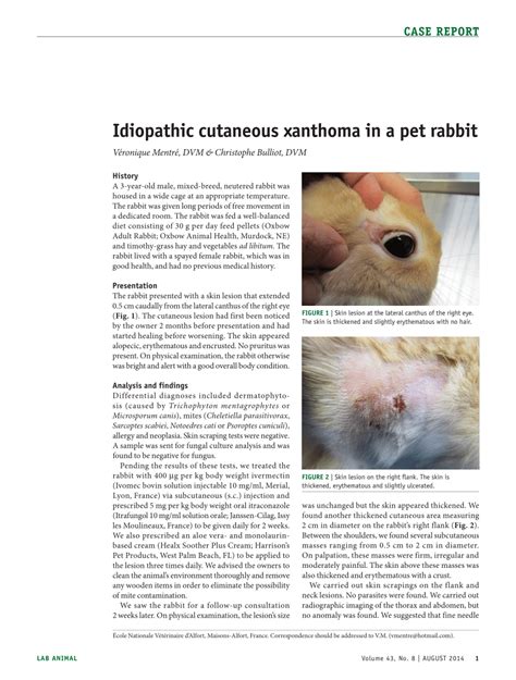 (PDF) Idiopathic cutaneous xanthoma in a pet rabbit