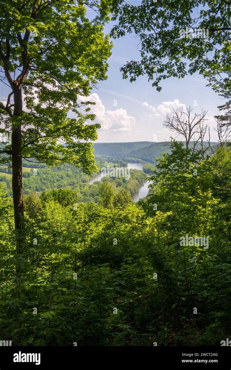 Allegheny National Forest Overlook Of The Allegheny River In