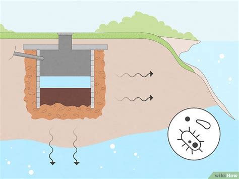 Cesspool vs. Septic: What's the Difference? Which is Better?