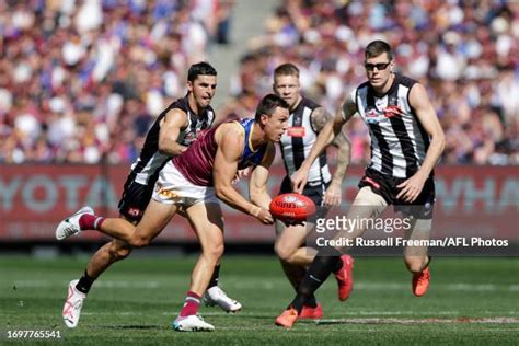 4618 Collingwood Magpies Afl Grand Final Stock Photos High Res