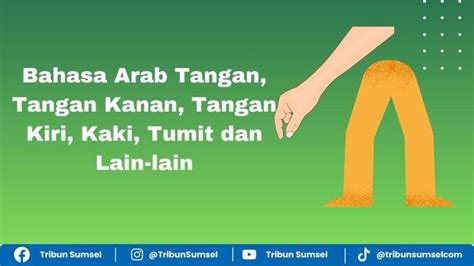 Arti Yadun Qodamu Al Yaddul Yumna Al Qodamu Yusro Kosa Kata Bahasa Arab Bagian Tangan Dan