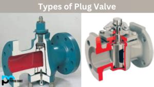 4 Types of Plug Valve and Their Uses