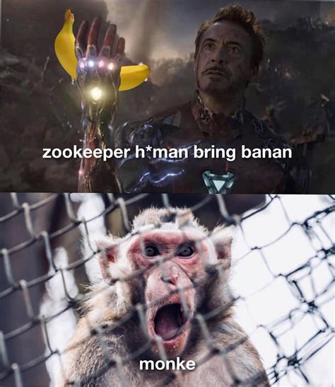 Zookeeper good : r/ape