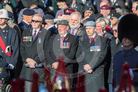 Veterans March Past 2018 at the London Cenotaph in Photos - Interactive ...