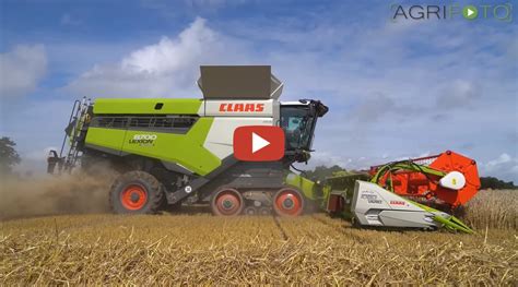 Jensma Agro Aan Het Tarwe Combinen Met Een Splinternieuwe Claas