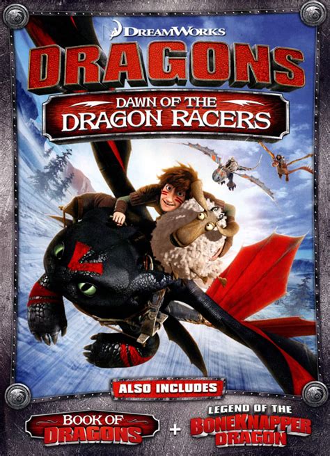 Best Buy: Dragons: Dawn of the Dragon Racers [DVD] [2014]