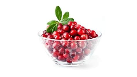 Top 20 best natural antibiotic foods and herbs - VKool.com