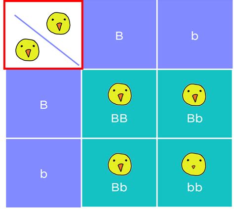 punnett square   traits