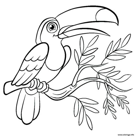 Coloriage Oiseau Toucan Toco Dessin Toucan à imprimer