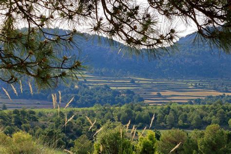 Proyectos Ecol Gicos Espa A Aprende Mientras Ay Danos Con Agricul