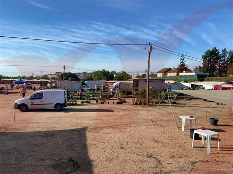 Mercado Quinzenal De Regresso Ao Parque Da Piedade Esta Segunda Feira