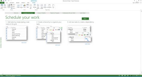 Buy Microsoft Project Professional Flixeasy