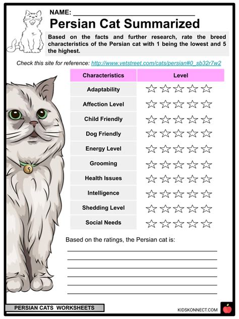 Persian Cat Facts & Worksheets | Origin, Apprearance, Diet