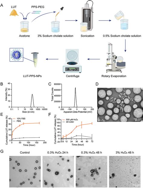 Cellular Uptake Of Fitc Labeled Lut Pps Nps In Sk Mel Cells A