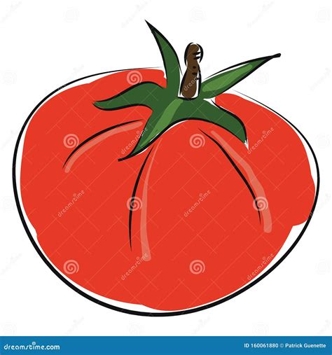 Dibujo Vectorial De Tomate Rojo En Fondo Blanco Ilustraci N Del Vector