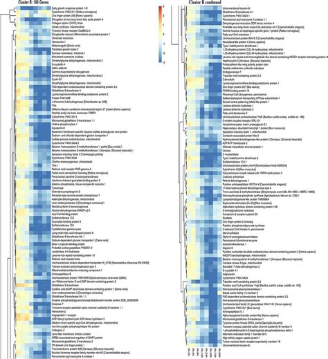 Down-regulated gene cluster B expression patterns in regenerating P ... 