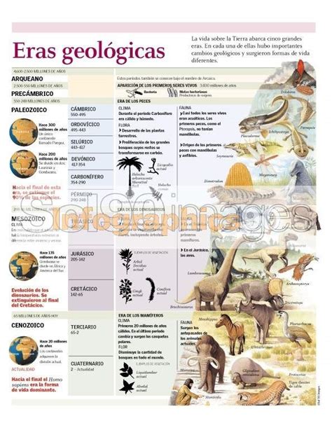 Infografía Eras Geológicas Infographics90