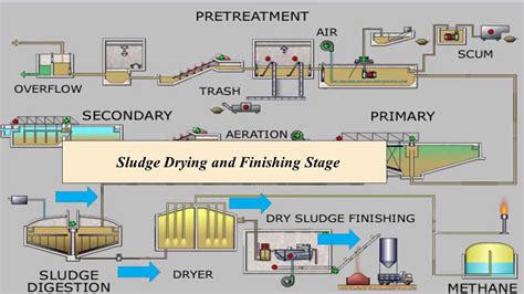 What Is Sludge Dewatering And Drying Process Youtube