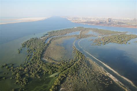 United Arab Emirates To Host Iucn World Conservation Congress