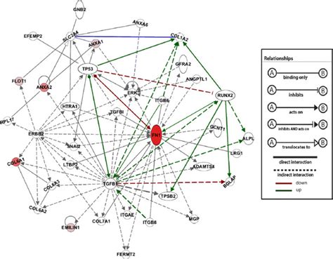 Connections To Regulators Of Osteogenesis And Cellular Proliferation