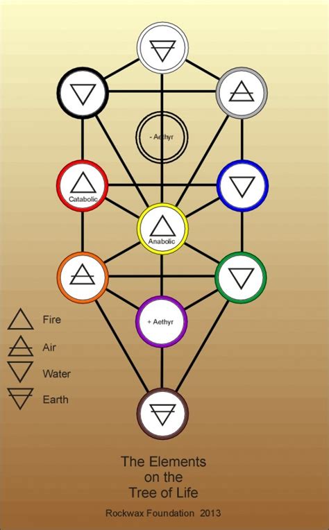 Tree Of Life Diagrams The Rockwax Foundation