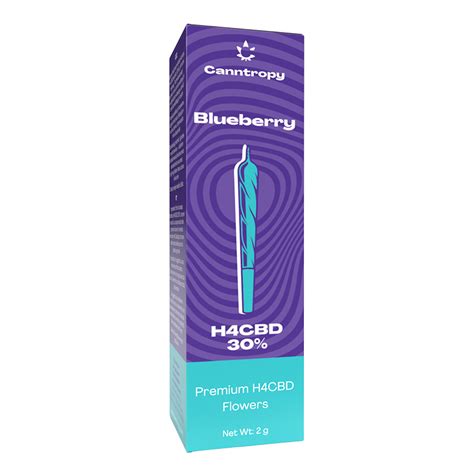 Canntropy H Cbd Prerolls Blueberry H Cbd G