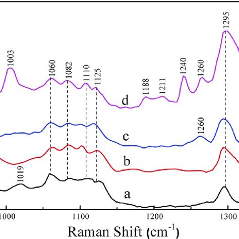 Raman Spectra In The C C Stretching Ch 2 Twisting Wagging And Bending Download Scientific