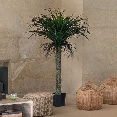 Palmier Artificiel Yucca Tropiques H 150cm ATMOSPHERA Ravate