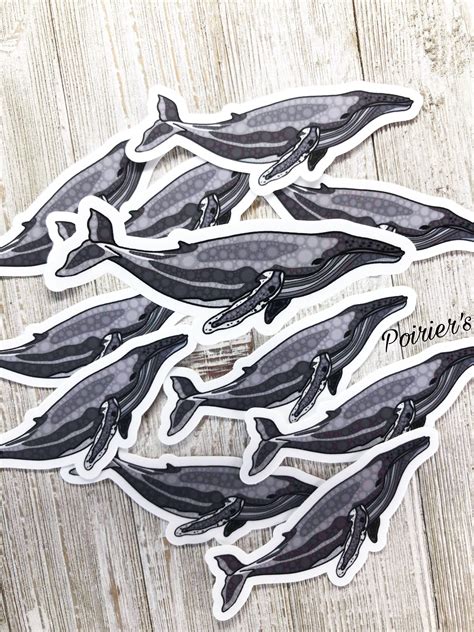 Humpback Whale Vinyl Stickers Sea Sticker Gray Whale Ocean Etsy