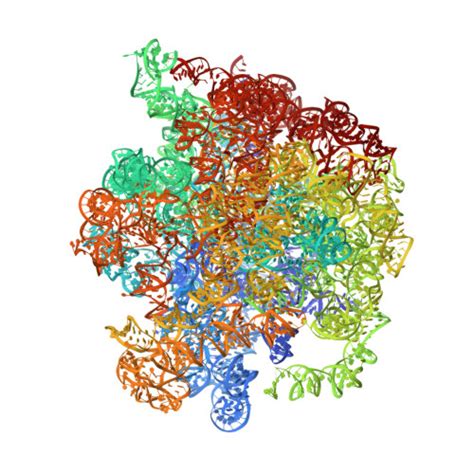 Rcsb Pdb Wic Cryo Em Structure Of Mycobacterium Smegmatis S