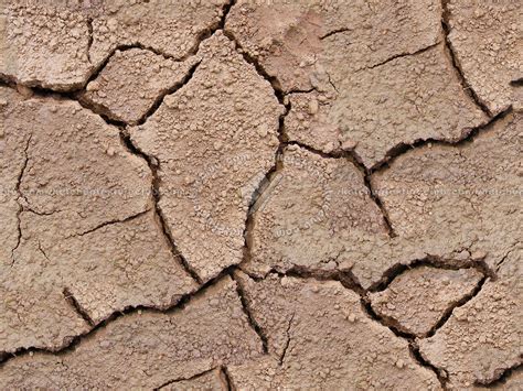 Cracked dried mud texture seamless 12872