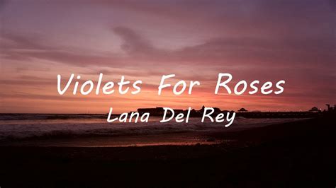 Lana Del Rey Violets For Roses Lyrics Youtube