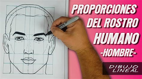 Detalles Proporcion Del Rostro Humano Dibujo Muy Caliente Camera