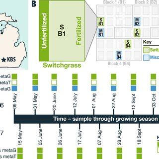 Phyllosphere microbiome field sampling strategy at the Great Lakes ...