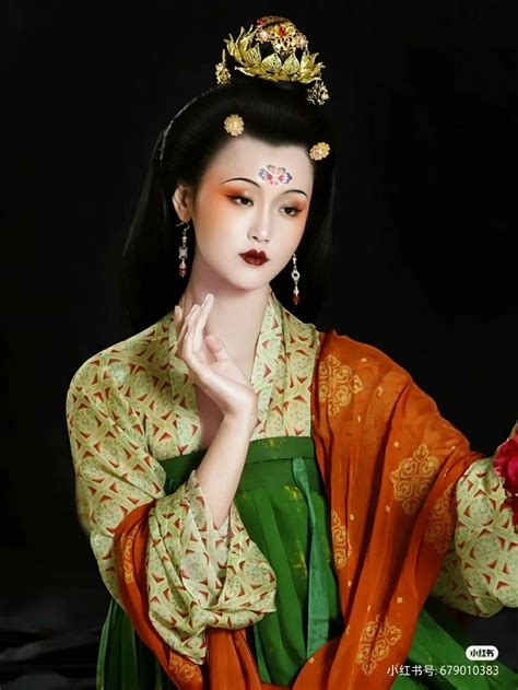 Hanfu China Tang Dynasty Chinese Traditional Clothing Hanfu