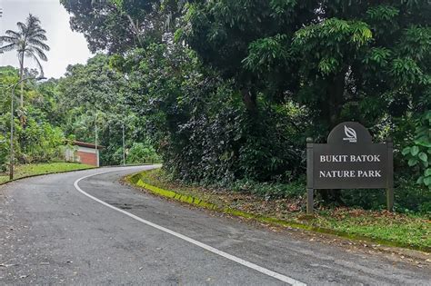 Guide to Visiting Bukit Batok Nature Park