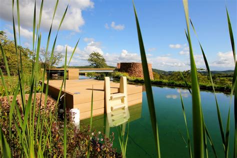 Natural Swimming Pool Gallery Clear Water Revival